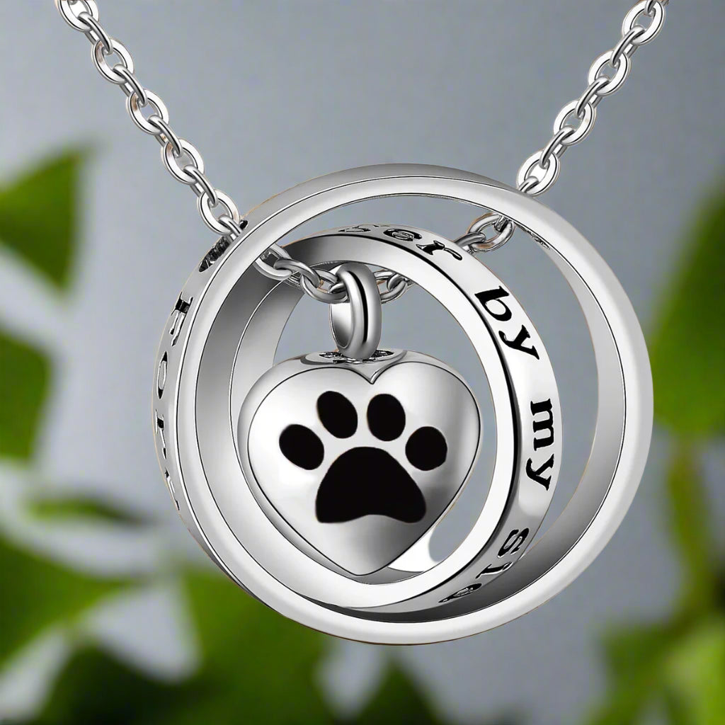Silver Necklace Sorcha with Paw Print
