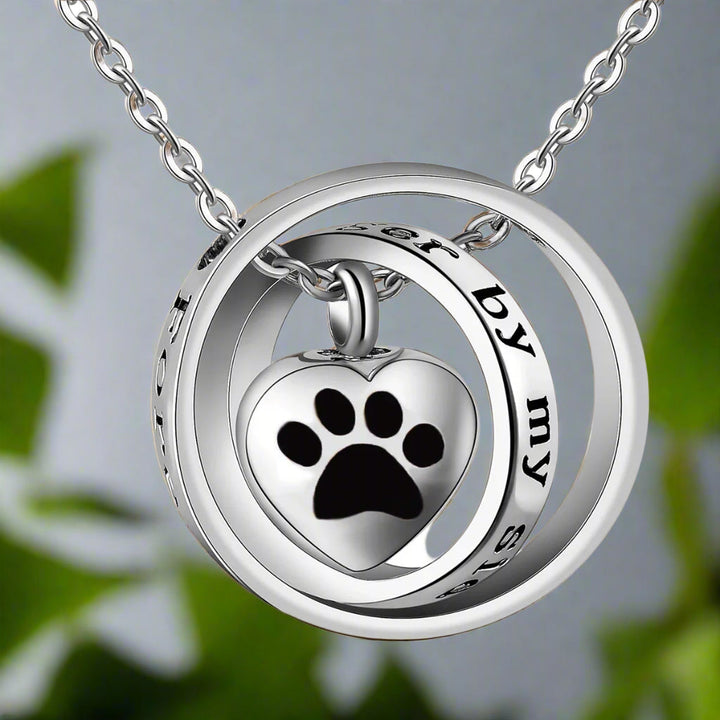 Silver Necklace Sorcha with Paw Print