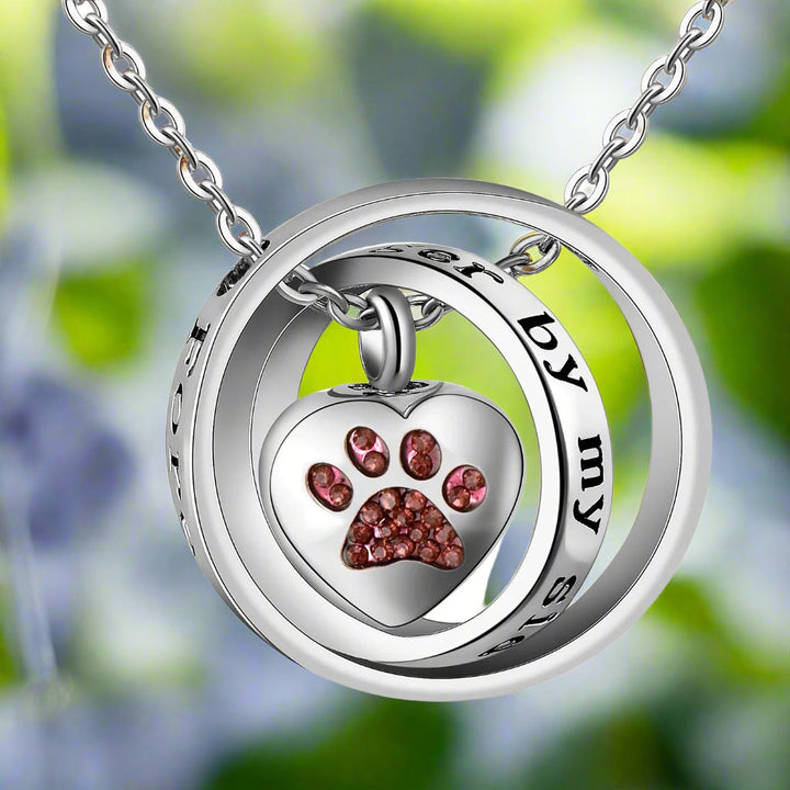 Silver Necklace Sorcha with Paw Print