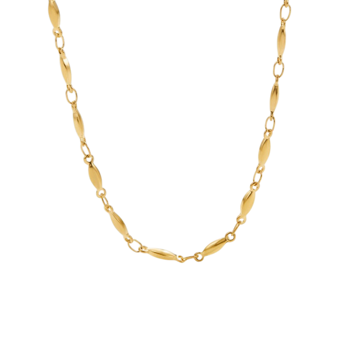 Gold Chain Necklace Fiadh