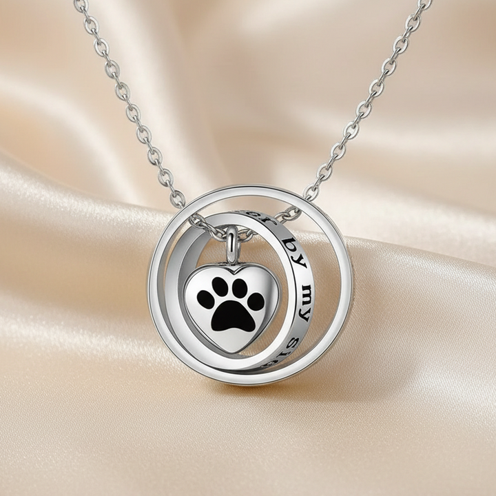 Silver Necklace Sorcha with Paw Print
