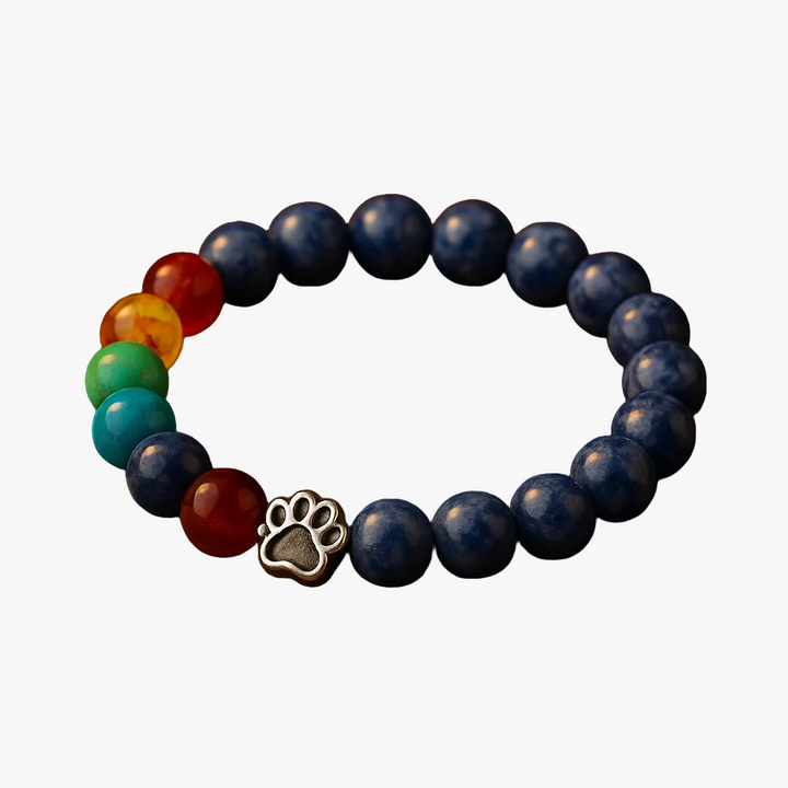 Blue Beaded Bracelet with Paw Print &amp; Chakra Stones